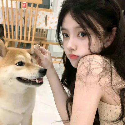 夜樱四重奏 花之歌